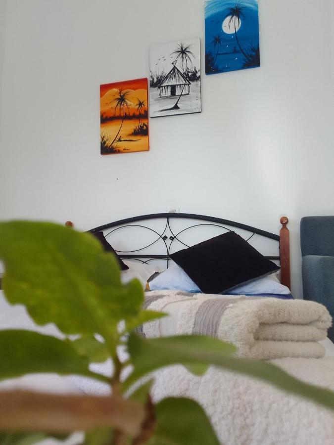 Ocean Surf Lodge Taghazout Zewnętrze zdjęcie